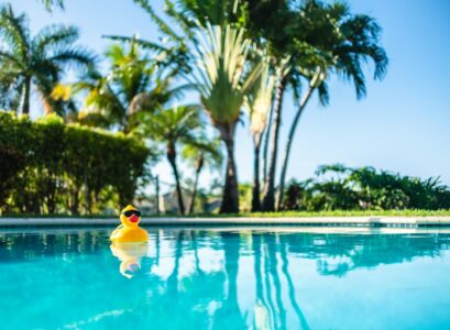 aspirateurs de piscine