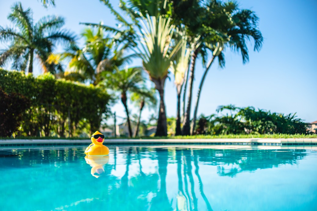 aspirateurs de piscine