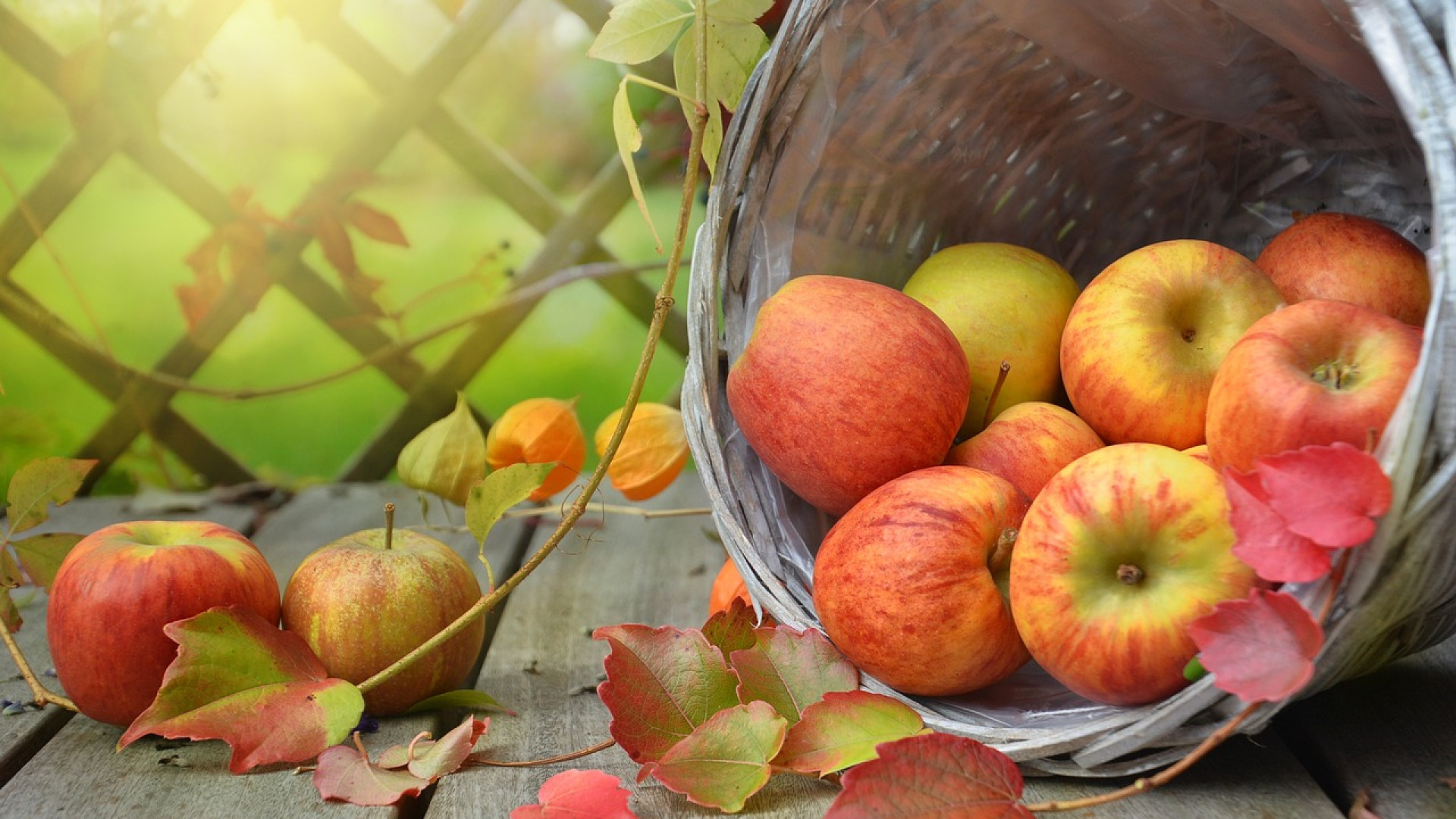 Les délices de l'automne à savourer sans modération