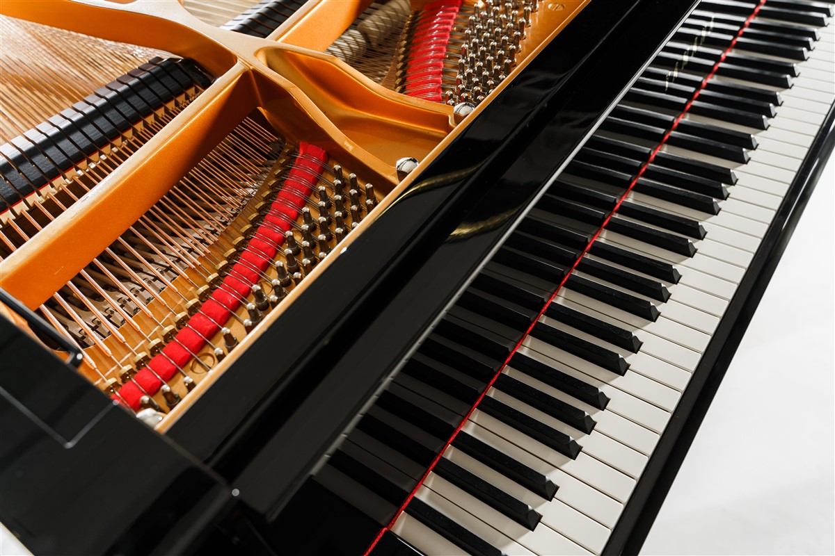 secrets du piano à queue